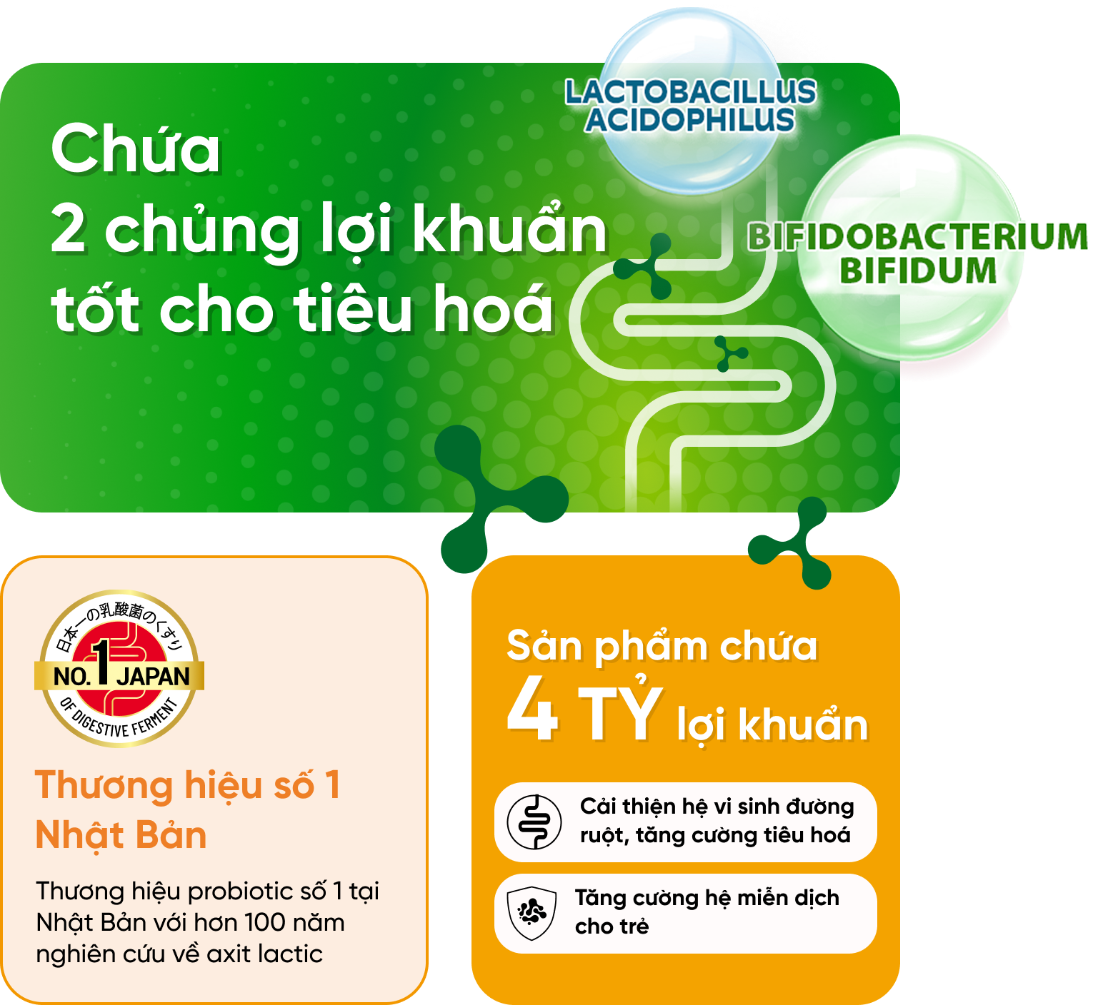 Chứa 2 chủng lợi khuẩn, 4 tỷ lợi khuẩn hỗ trợ tiêu hóa và tăng cường miễn dịch.