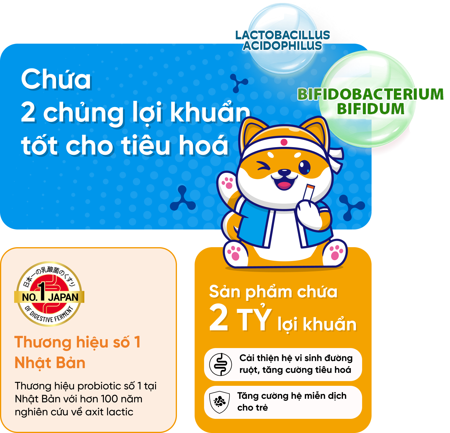 Biofermin chứa 2 chủng lợi khuẩn tốt cho tiêu hóa