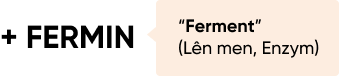 Fermin viết tắt lên men, enzym