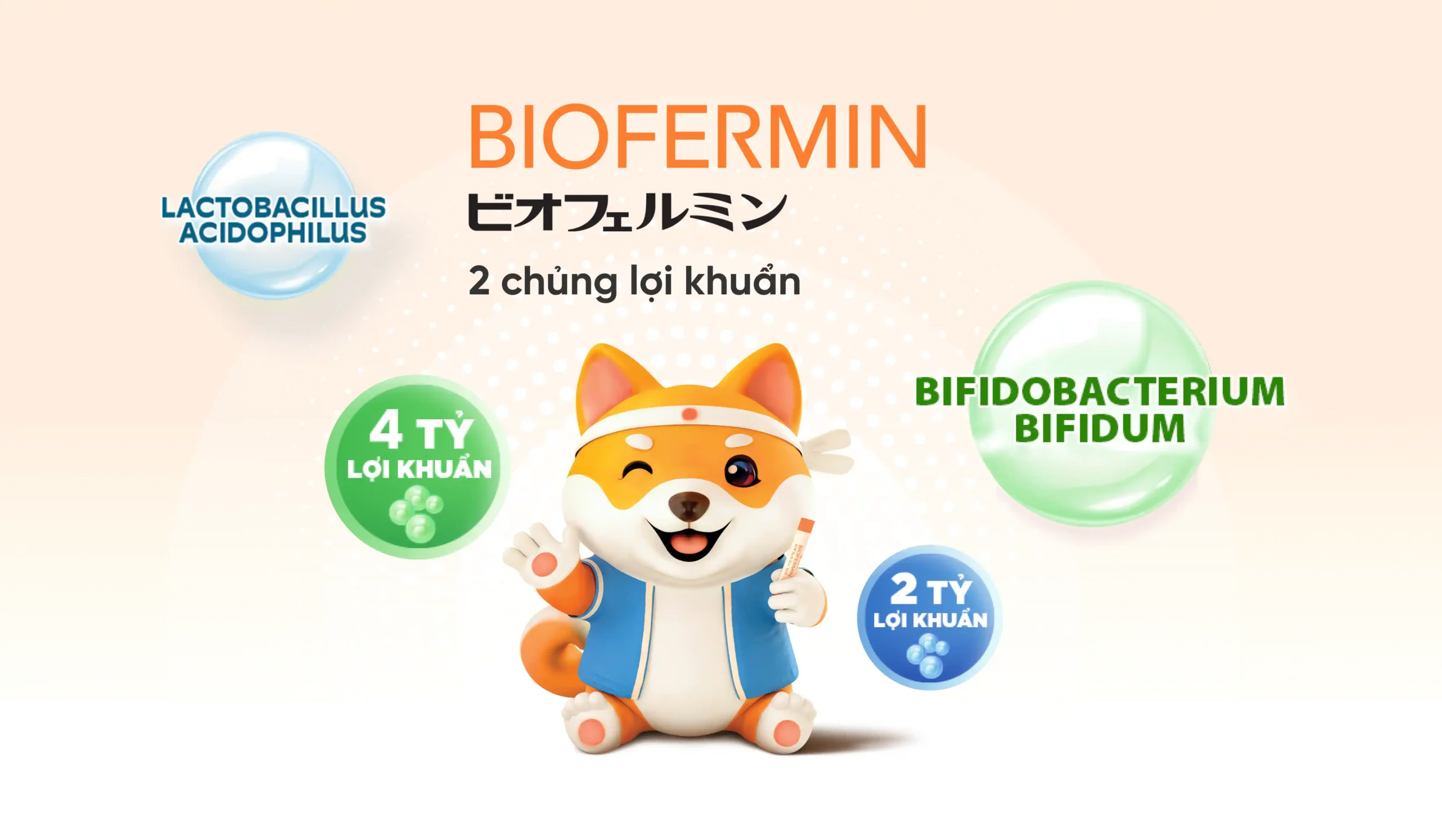 Banner Biofermin chứa 2 chủng lợi khuẩn Lactobacillus và Bifidobacterium