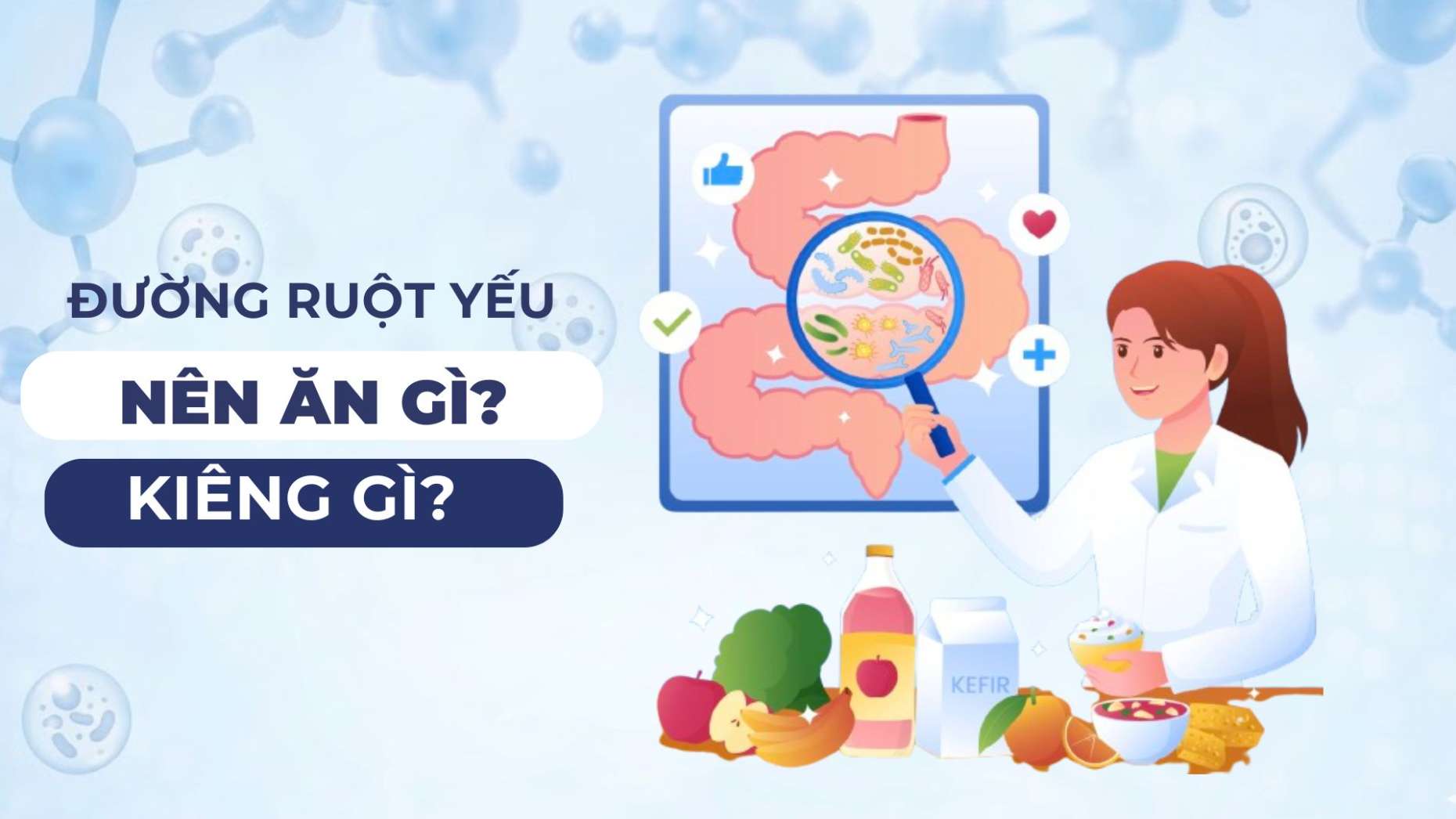 đường ruột yếu nên ăn gì